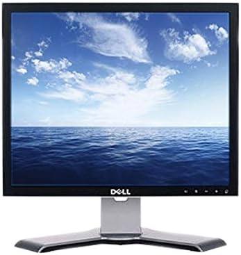 Dell 19-Inch Square Flat Panel Monitor